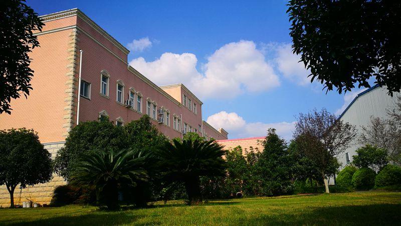 0-20mA Output Sensor 